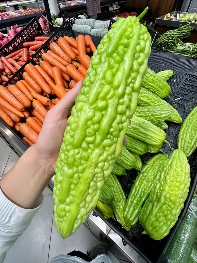 大棚苦瓜种植技术