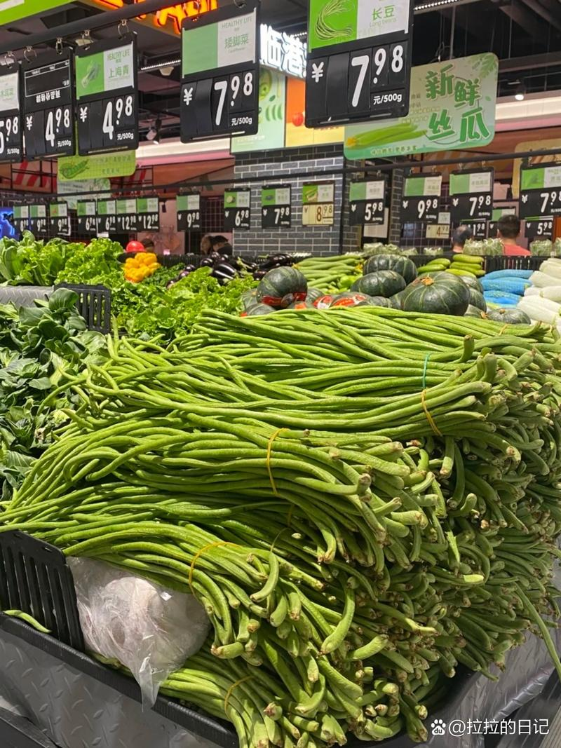 大棚苦瓜种植技术