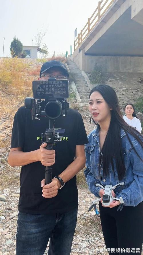 石家庄seo网站优化价格