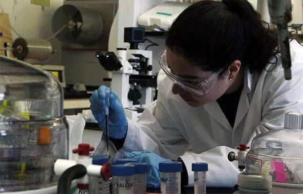 美国新闻网站排名