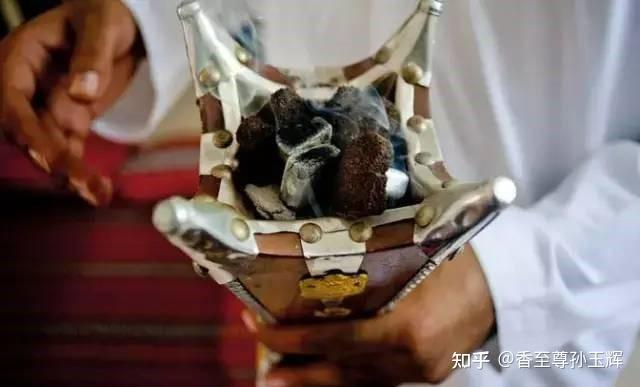 沉香树苗种植方法