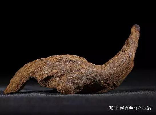 沉香树苗种植方法