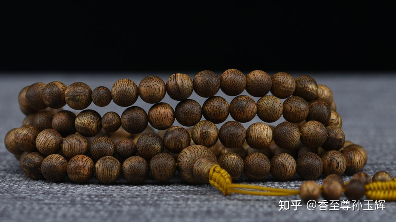 沉香树苗种植方法