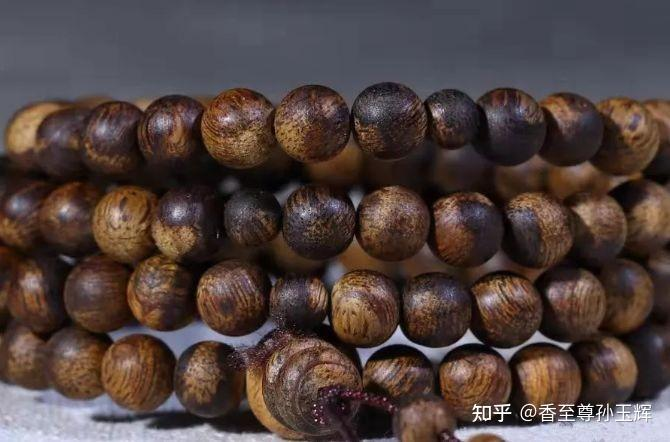 沉香树苗种植方法