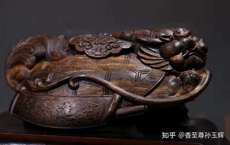 沉香树苗种植方法