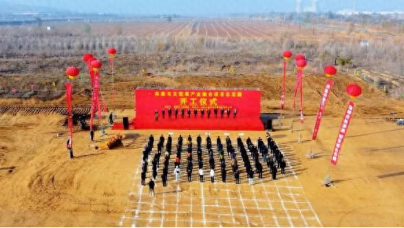 文冠果怎么种植技术