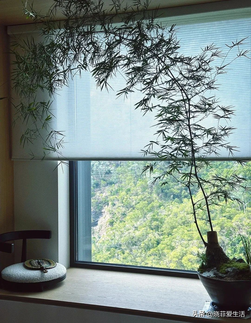 毛竹根种植方法