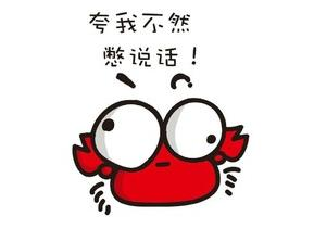 趋势理论和道氏理论