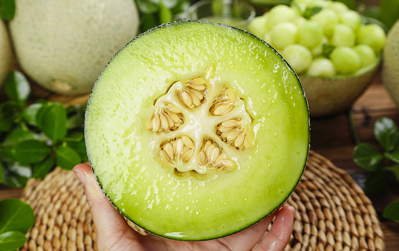 海南哈密瓜种植技术