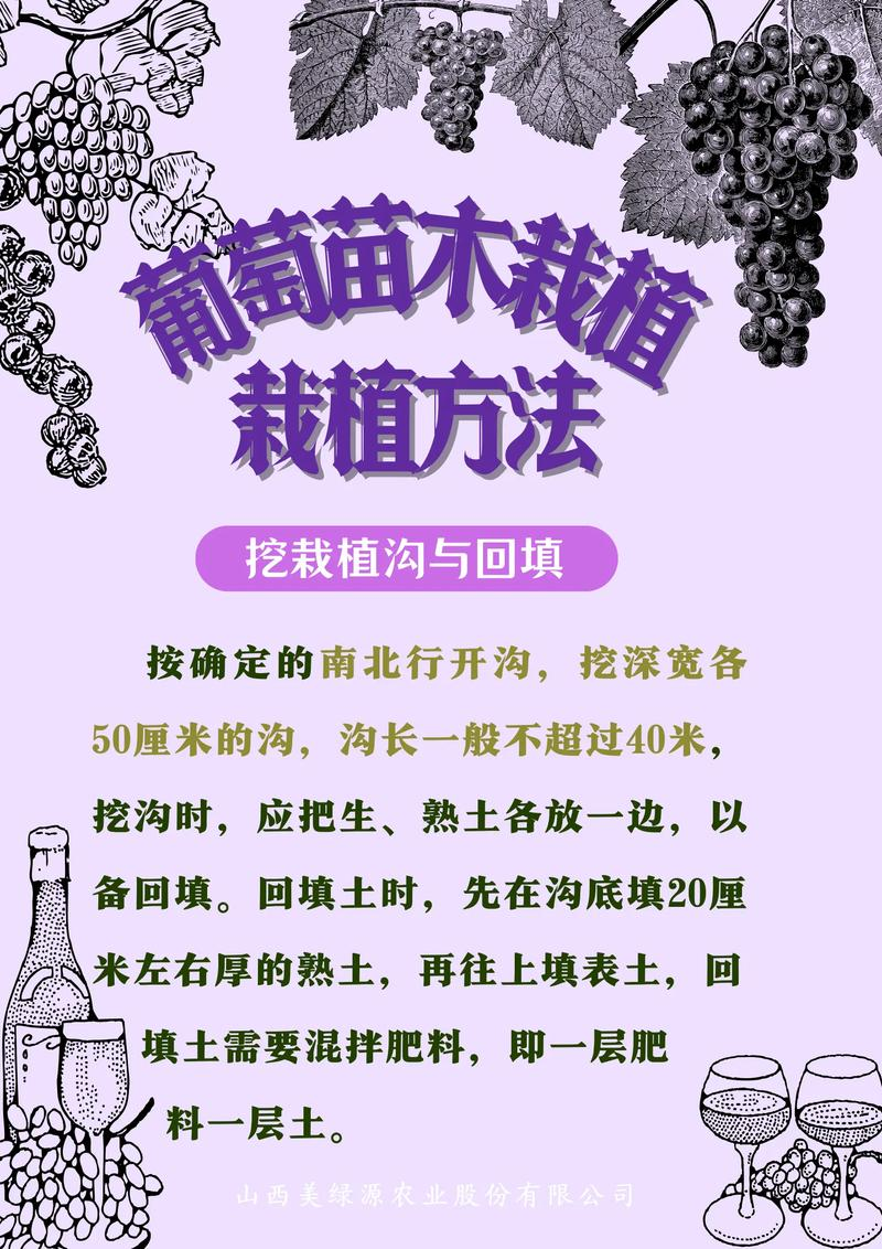 葡萄种植技术大全