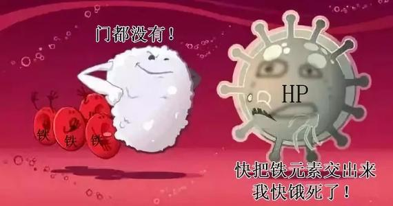 圣元早产儿奶粉价格