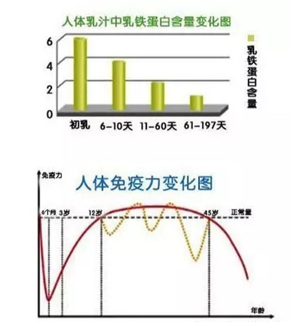 圣元早产儿奶粉价格