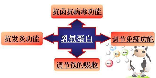 圣元早产儿奶粉价格