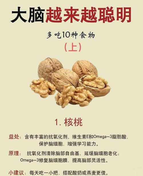 黄花菜种子种植技术