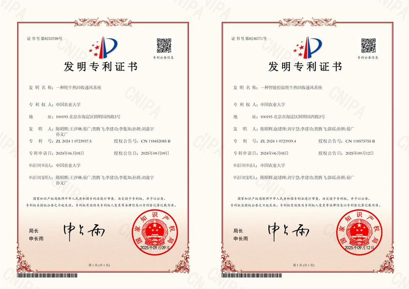 Intellectual property loans