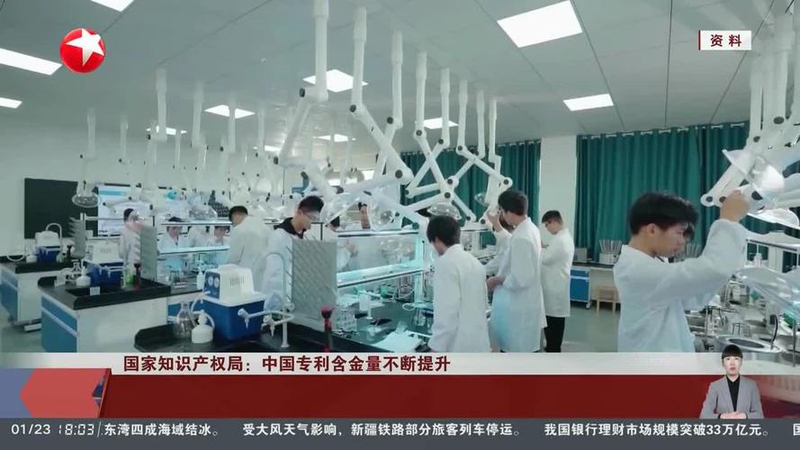 Intellectual property loans