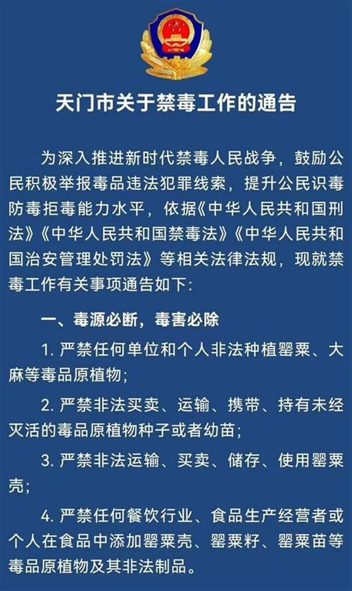 2026 shanghai drug awareness competition