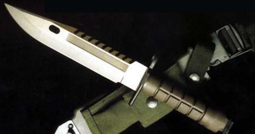 Predator's d80 knife price