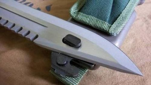 Predator's d80 knife price