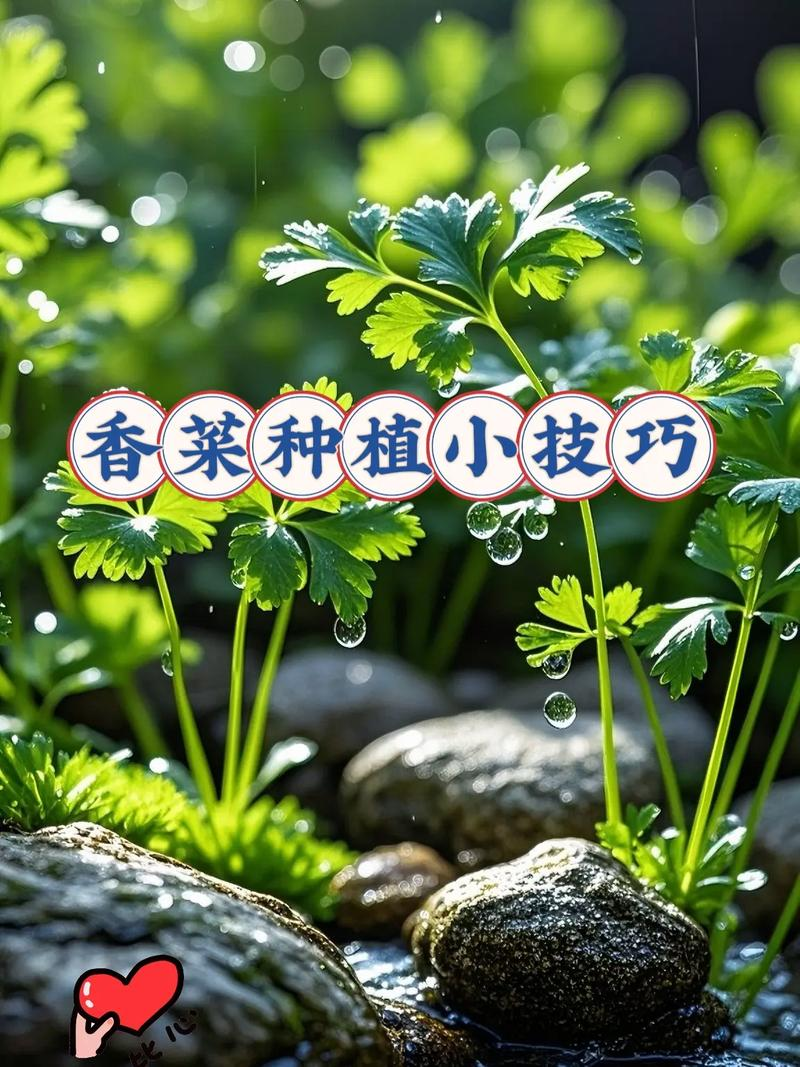 The method of planting the guava