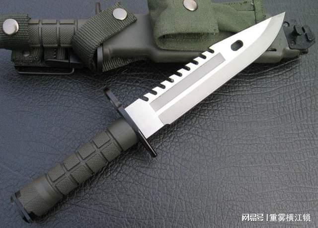 Predator's d80 knife price