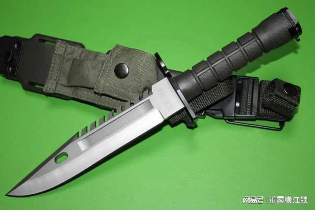 Predator's d80 knife price