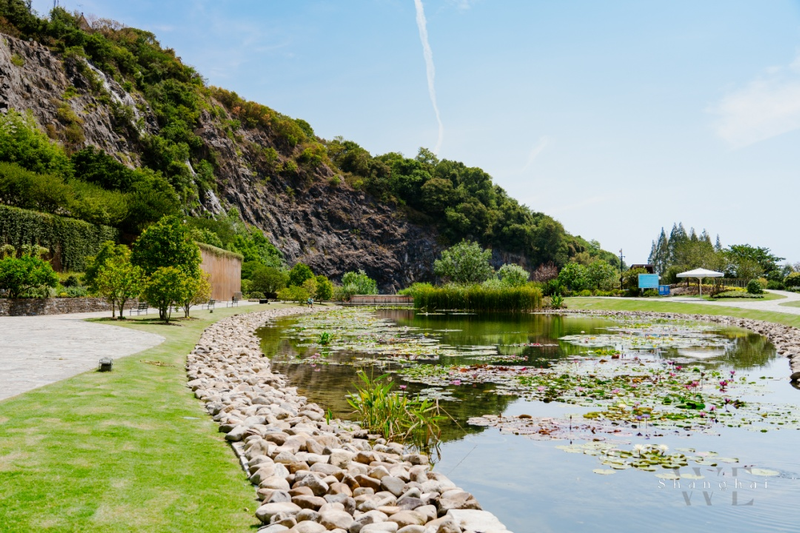 A map of the method of planting the sleeping lotus