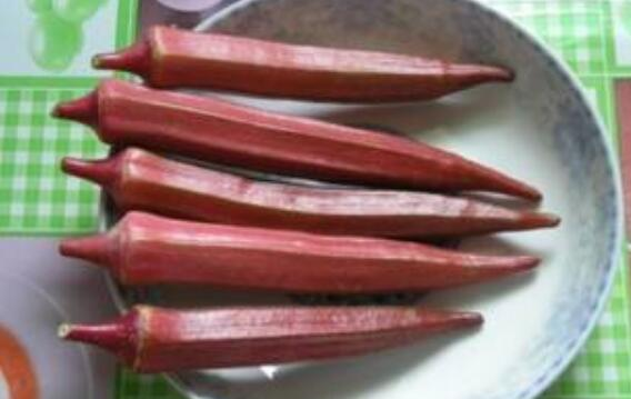 The way the sunflower is grown