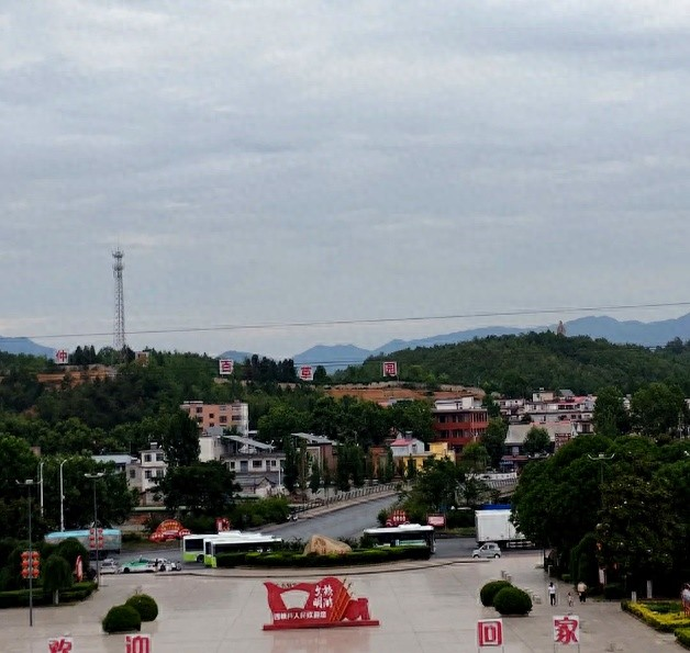 West canyon dried mushrooms - weekly