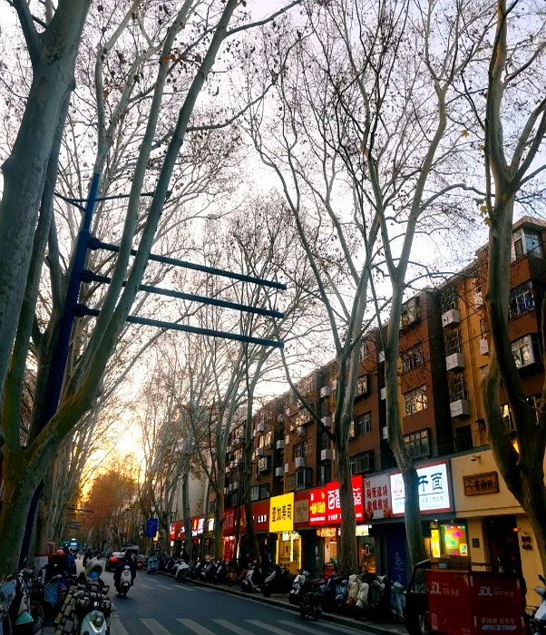 West canyon dried mushrooms - weekly