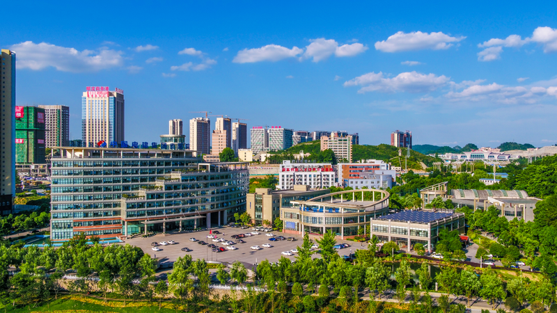 Intellectual property loans