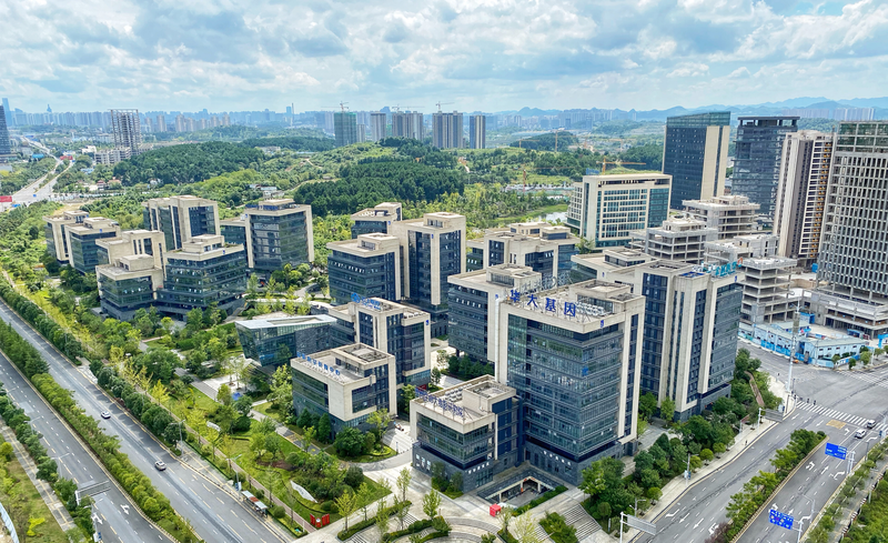 Intellectual property loans