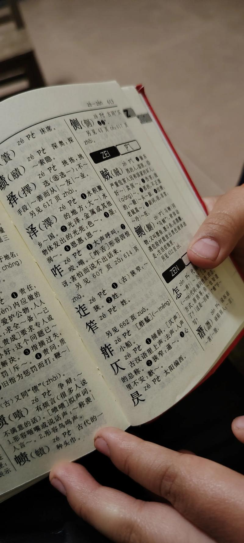 How do you grow cactus