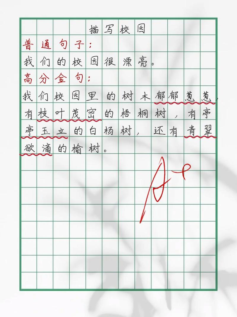 How do you grow cactus