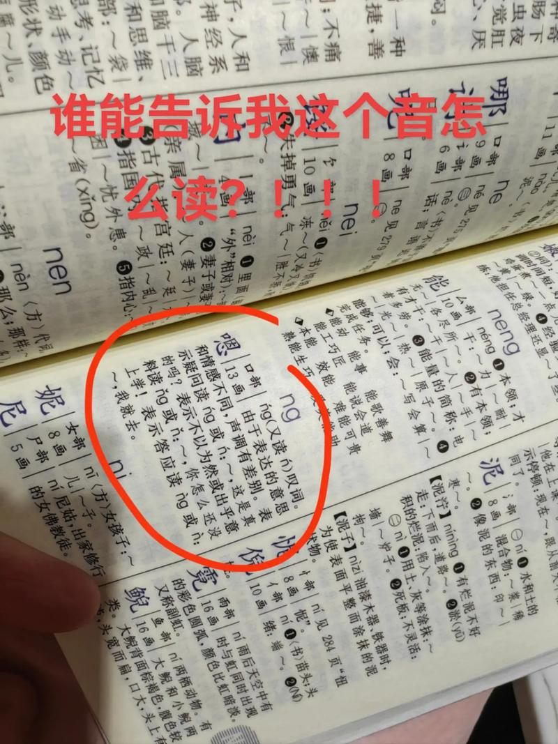 How do you grow cactus