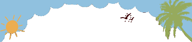 【关税征管】跨境电商零售进口税款支持电子支付啦！