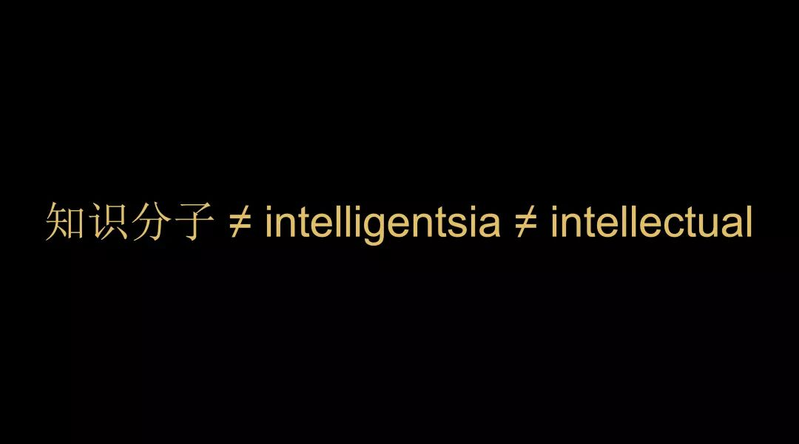 什么是知识分子