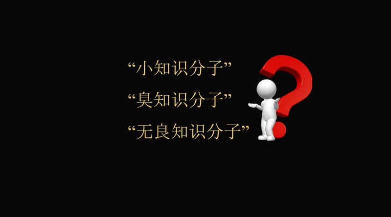 什么是知识分子