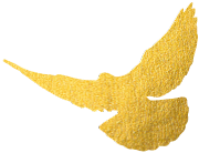 什么是知识分子