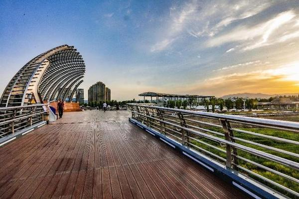 West canyon dried mushrooms - weekly