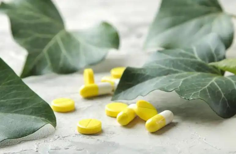 常春藤图片及养殖方法