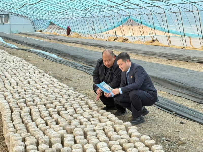 Intellectual property loans