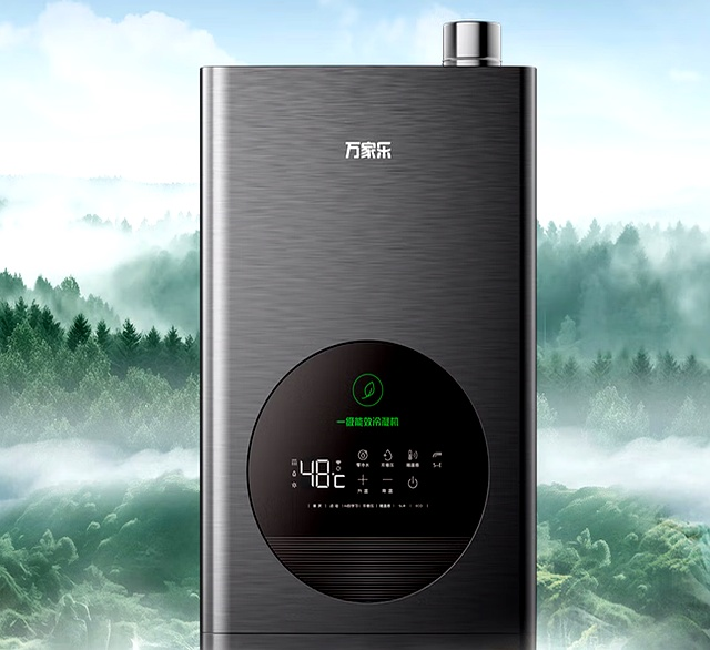 Water heater maintenance services