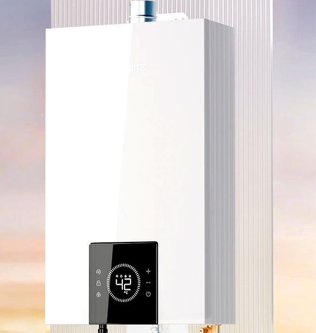 Water heater maintenance services