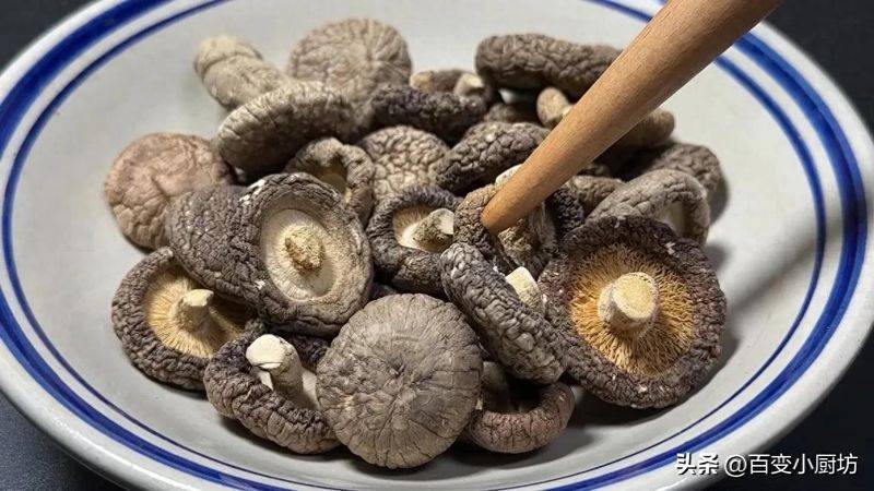 Video of mushroom growing techniques