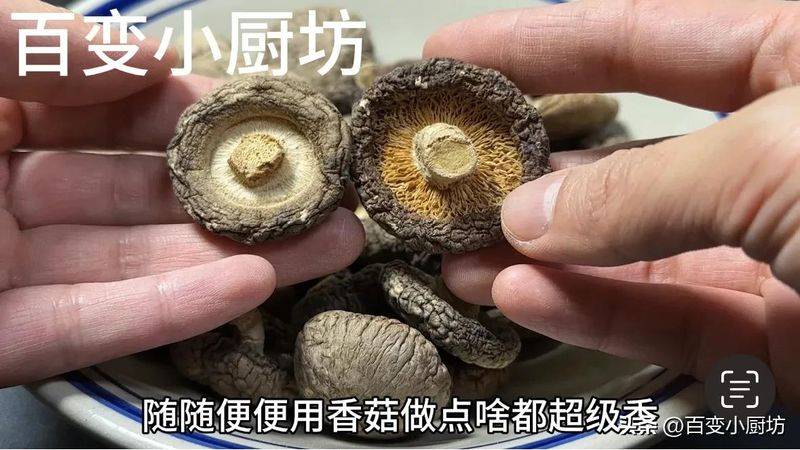 Video of mushroom growing techniques