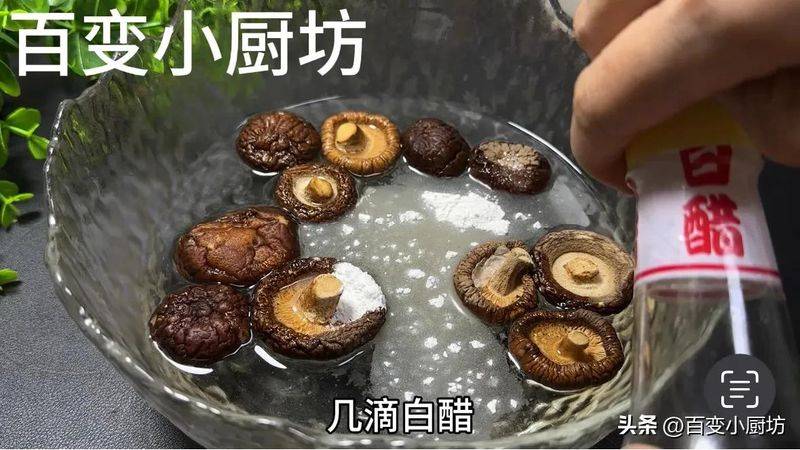 Video of mushroom growing techniques