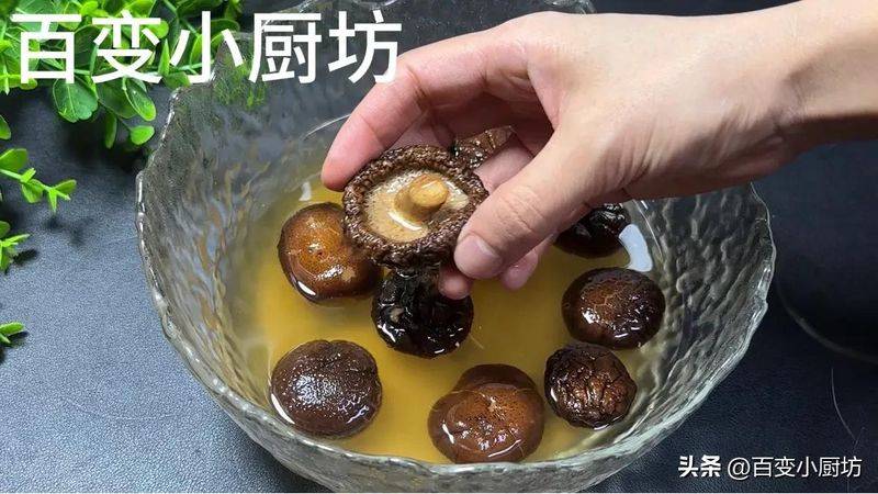 Video of mushroom growing techniques