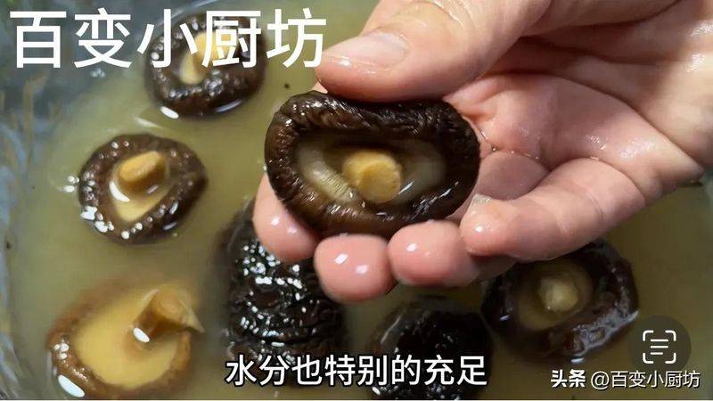 Video of mushroom growing techniques