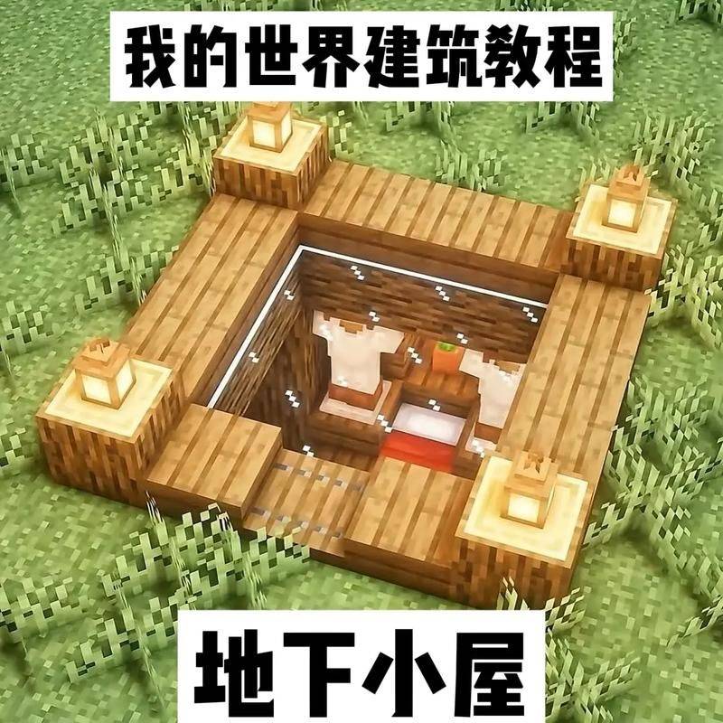 Mc+experience directive